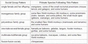 Olika sociala strukturer hos primater